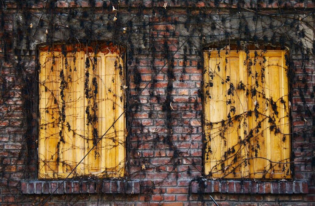 Voluptates earum est reiciendis sit velit sed